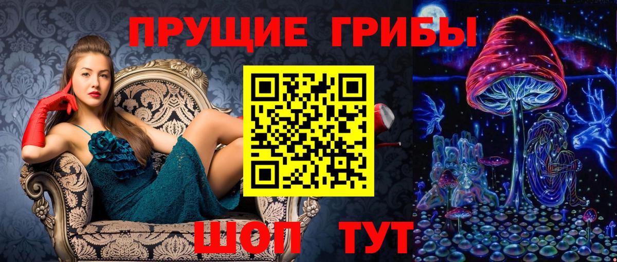 Костомукша  Псилоцибиновые грибы Psilocybe  закладка  Вход с VPN  Псилоцибиновые грибы мухоморы 