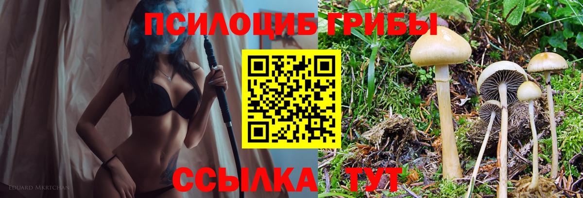 Псилоцибиновые грибы мицелий Костомукша